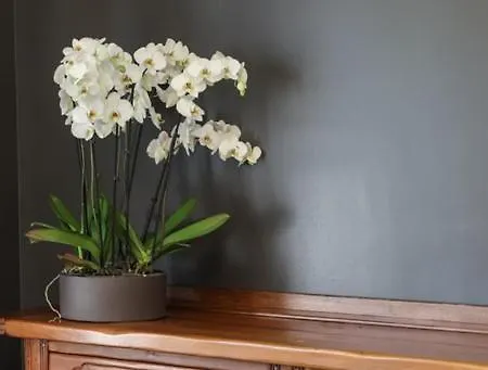 Casa de hóspedes Al 22 3*